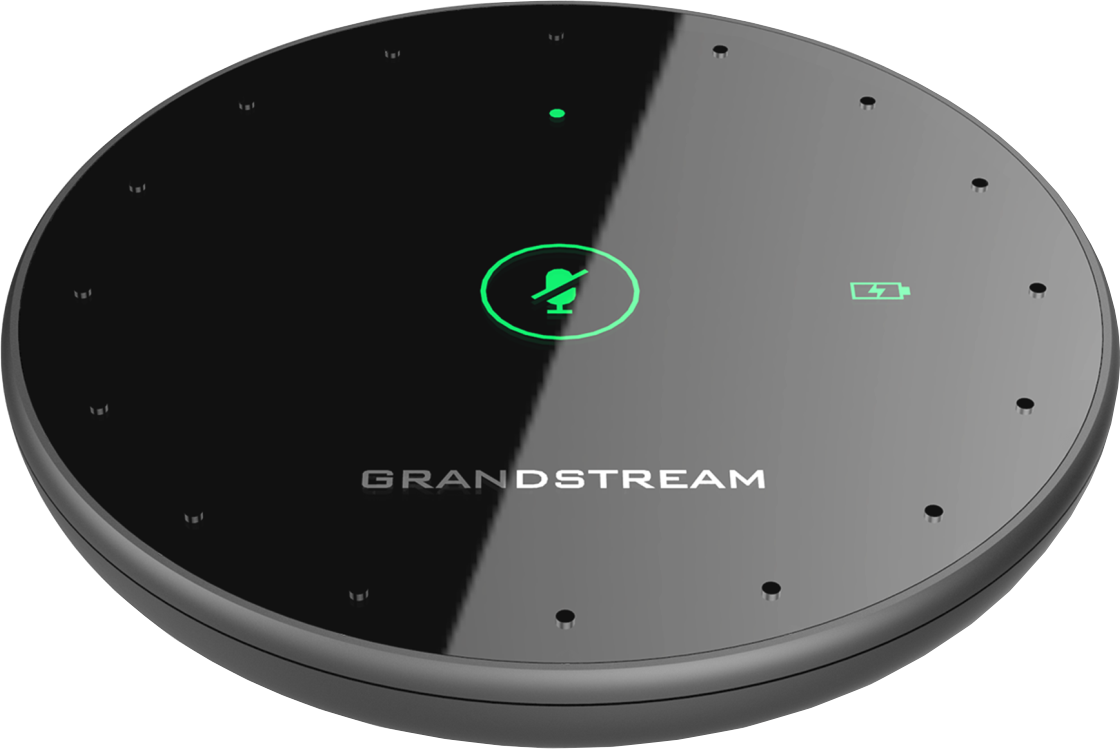 Grandstream GMD1208